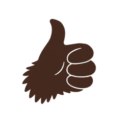 Muito obrigado!